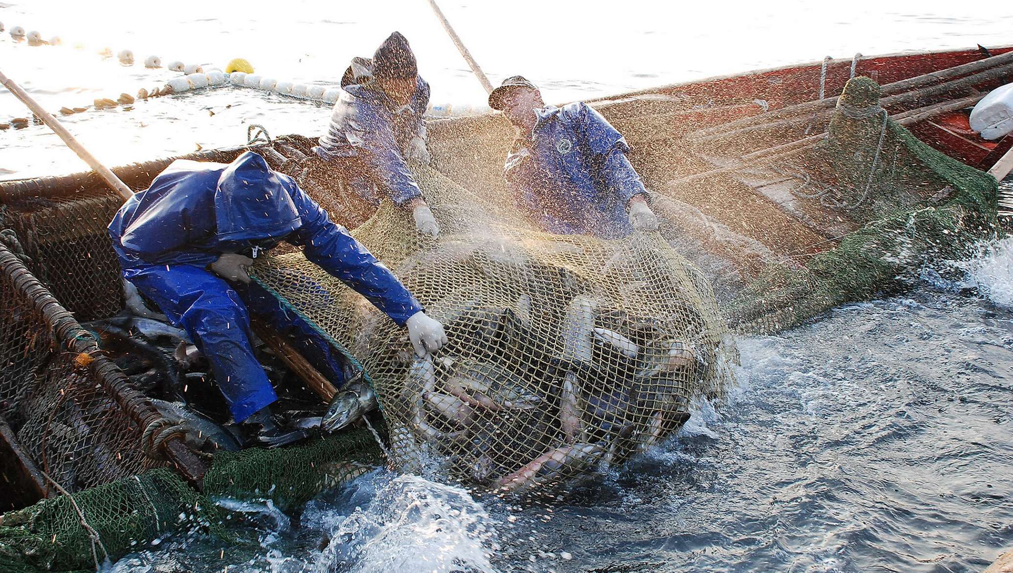 Jinsiy mini bikinili qizlar Rus seks: Yosh yigit oz singlisining bokiraligini sikdi