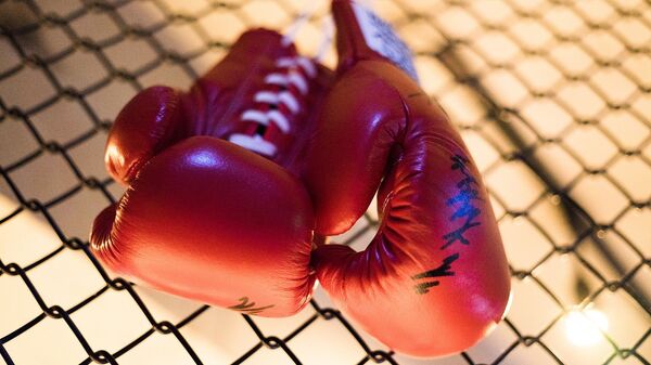 Боксерские перчатки, архивное фото - Sputnik Ўзбекистон