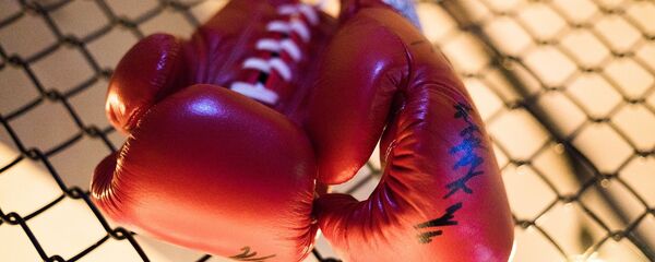 Боксерские перчатки, архивное фото Боксерские перчатки, архивное фото - Sputnik Узбекистан