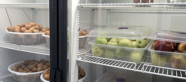 Доставка готовой еды и полуфабрикатов в детские сады Узбекистана - Sputnik Узбекистан