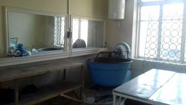 Семейное предприятие Фирдавс-шодлик - Sputnik Узбекистан