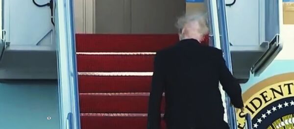 Сильный ветер сорвал с Дональда Трампа парик Сильный ветер сорвал с Дональда Трампа парик - Sputnik Узбекистан
