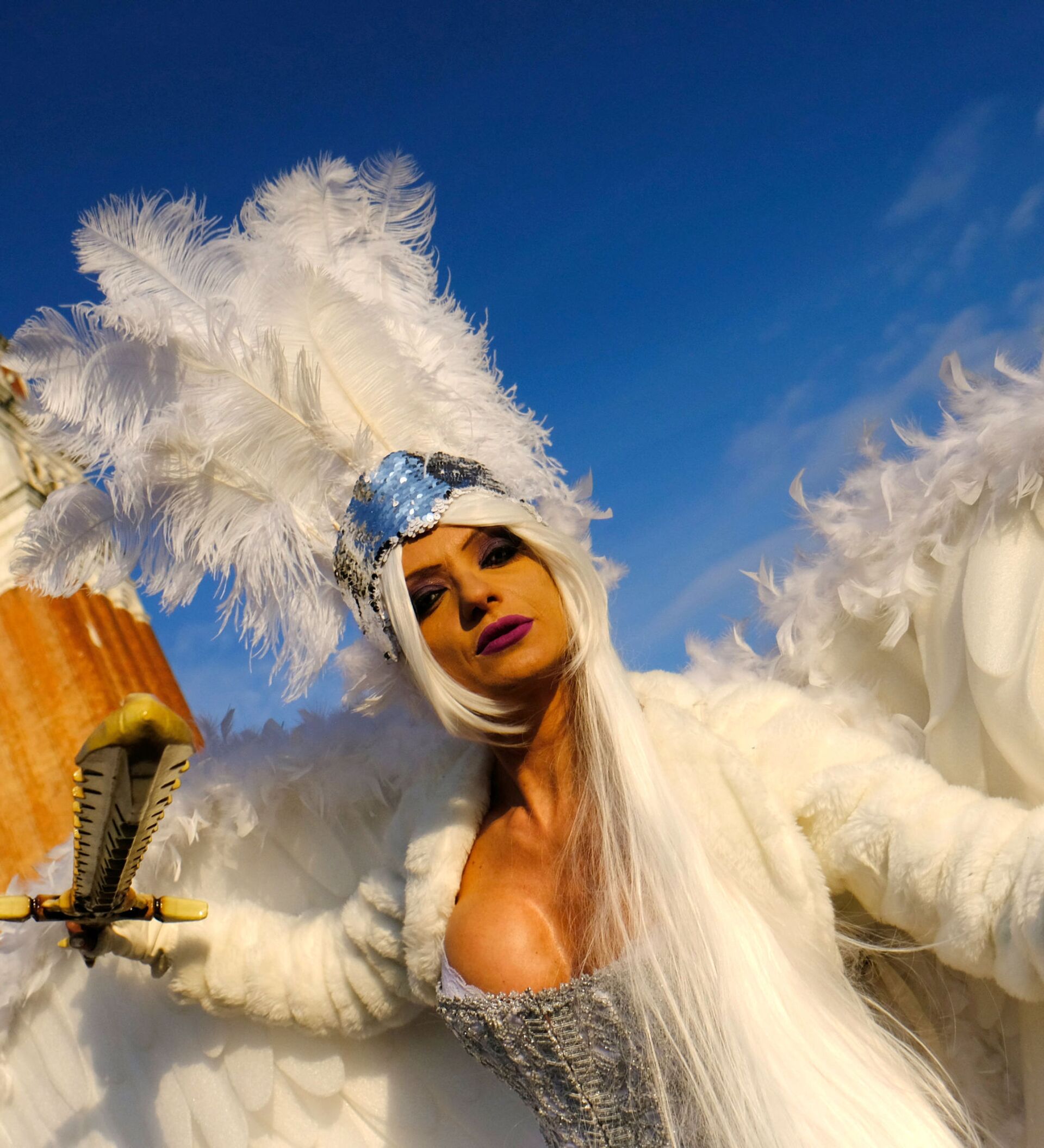 Крылатая королев. Фотографии карнавала в Венеции. Королева бала шоу. Снежный карнавал в России картинки красивые.