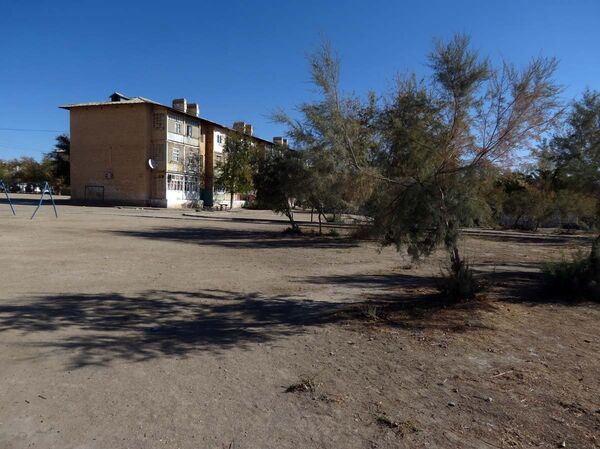 Дворы в Учкудуке не радуют жильцов растительностью - пустыня чувствуется и тут - Sputnik Узбекистан