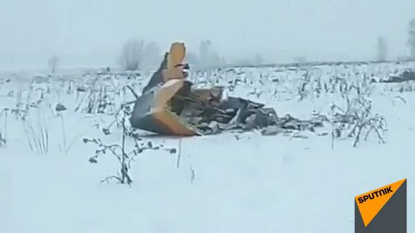 Видео с места падения пассажирского самолета Ан-148 в Подмосковье - Sputnik Узбекистан