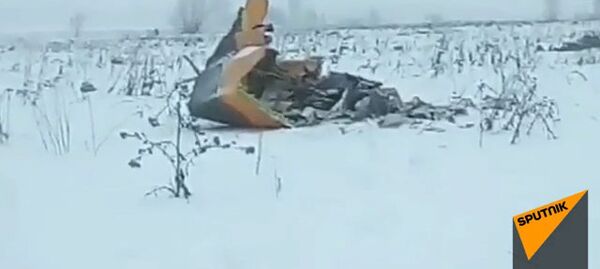 Видео с места падения пассажирского самолета Ан-148 в Подмосковье - Sputnik Ўзбекистон