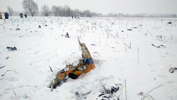 На месте крушения самолета Ан-148 в Московской области - Sputnik Узбекистан
