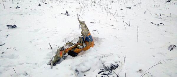 На месте крушения самолета Ан-148 в Московской области На месте крушения самолета Ан-148 в Московской области - Sputnik Узбекистан
