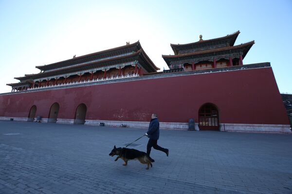 Тренировка охранных собак в Запретном городе в Пекине - Sputnik Узбекистан