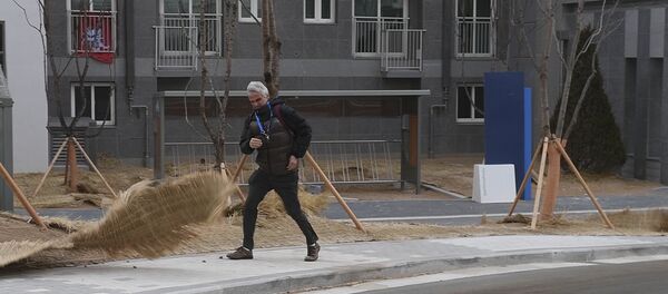 Метель в Пхенчхане: ураганный ветер накрыл столицу Олимпиады - Sputnik Узбекистан