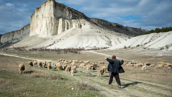Пастух, архивное фото - Sputnik Узбекистан