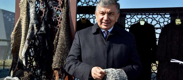 Шавкат Мирзиёев поручил создать специализированный институт и фонд для развития каракулеводства Шавкат Мирзиёев поручил создать специализированный институт и фонд для развития каракулеводства - Sputnik Ўзбекистон