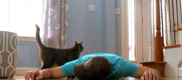 Мужчина разыграл кота, притворившись мертвым - Sputnik Узбекистан