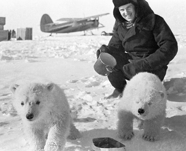 Белые медвежата на дрейфующей станции Северный полюс-19 - Sputnik Узбекистан