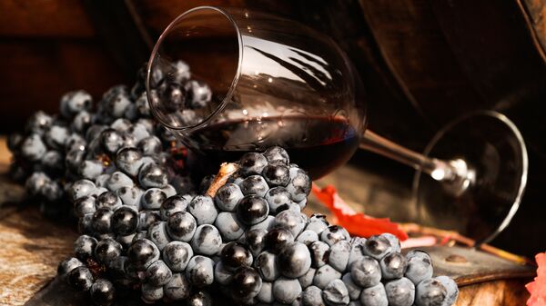 Vinogradnaya loza i vino v bokale na vinodelcheskom predpriyatii Massandra v Krimu. - Sputnik O‘zbekiston