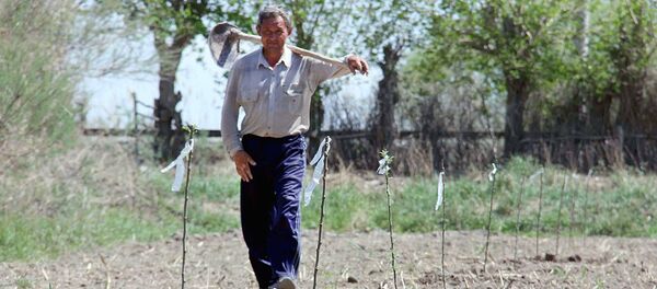 Крестьянин - Sputnik Узбекистан