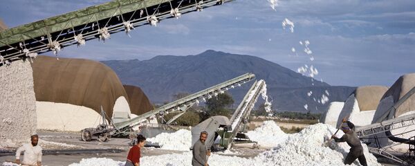 Хлопкозаготовительный пункт в Таджикистане Хлопкозаготовительный пункт в Таджикистане - Sputnik Ўзбекистон