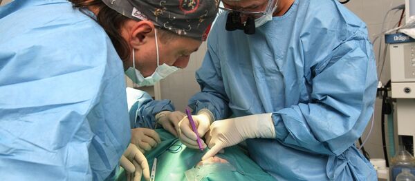 Челюстно-лицевые хирурги во время операции Челюстно-лицевые хирурги во время операции - Sputnik Ўзбекистон