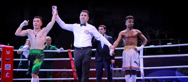 Победа Uzbek Tigers в матче VIII сезона Всемирной серии бокса против Cuba Domadores Победа Uzbek Tigers в матче VIII сезона Всемирной серии бокса против Cuba Domadores - Sputnik Узбекистан