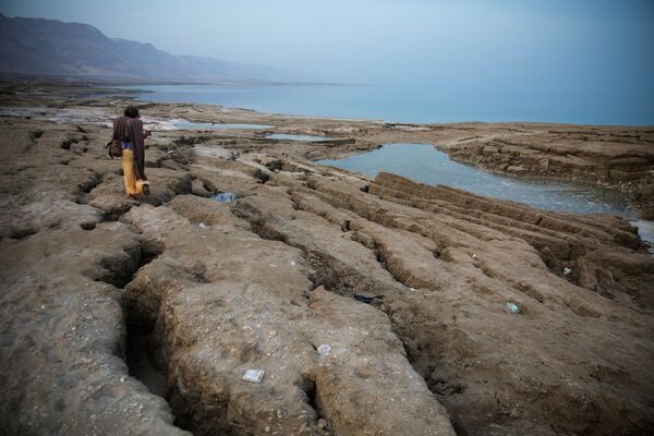 Авраам ходит по берегу Мертвого моря недалеко от Меццока Драго, Израиль, Западный берег - Sputnik Узбекистан