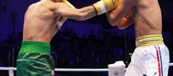 Uzbek tigers Uzbek tigers - Sputnik Ўзбекистон