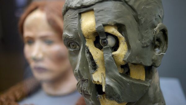 Стенд, посвященный скульптурной реконструкции облика человека по черепу - Sputnik Узбекистан
