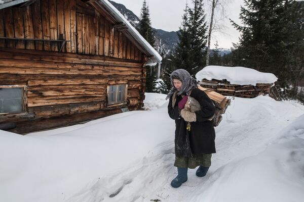 Отшельница из семьи староверов Агафья Лыкова идет с вязанкой дров - Sputnik Узбекистан