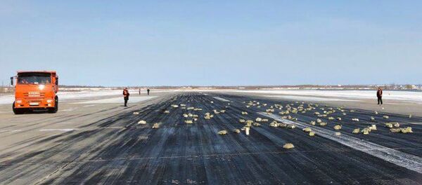 Взлетно-посадочная полоса аэропорта Якутск с рассыпанным грузом из самолёта Ан-12 - Sputnik Узбекистан