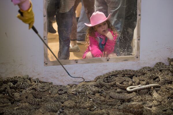 Девочка рассматривает гремучих змей в выставочном комплексе Нолан Колисеум в Техасе - Sputnik Узбекистан