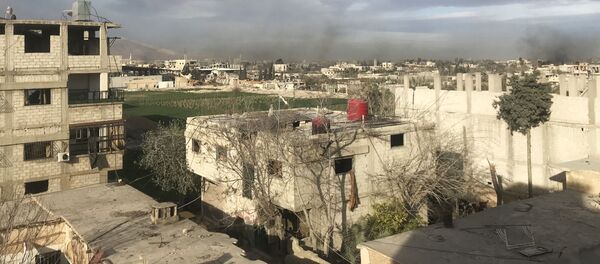 Дым, возникший в результате ударов сирийской армии по позициям Джебхат ан-Нусры (организация запрещена в РФ), в Восточной Гуте в пригороде Дамаска - Sputnik Узбекистан