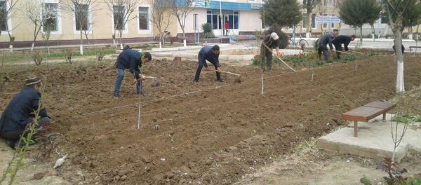 Во всенародном хашаре приняли участие учителя и ученики школ - Sputnik Узбекистан