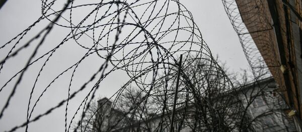 Колючая проволока - Sputnik Ўзбекистон