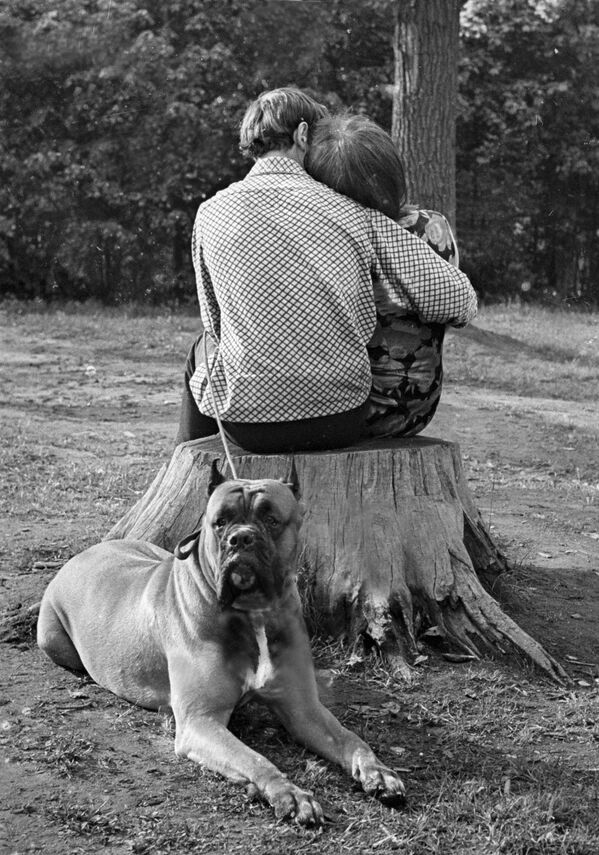 Влюбленные с собакой в парке, 1965 год - Sputnik Узбекистан