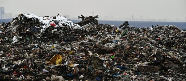 Мусор на полигоне твердых бытовых отходов Мусор на полигоне твердых бытовых отходов - Sputnik Ўзбекистон