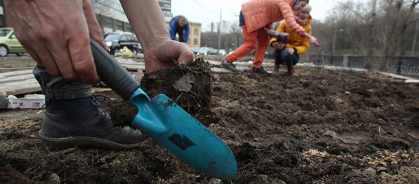 Уборка территории. Архивное фото - Sputnik Узбекистан