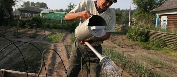 Mujchina polivayet gradku u sebya v ogorode v derevne Okunevo, gde proxodit etnograficheskiy festival Solnsestoyanie. - Sputnik O‘zbekiston