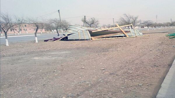 Последствия сильного урагана в Навоийской области Последствия сильного урагана в Навоийской области - Sputnik Узбекистан