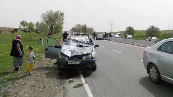 На трассе Ташкент - Алмалык автомобиль на большой скорости столкнулся с лошадью с наездником - Sputnik Узбекистан