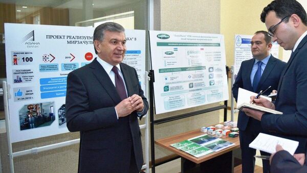 Shavkat Mirziyoyev oznakomilsya s investitsionnimi proyektami v Djizake - Sputnik O‘zbekiston