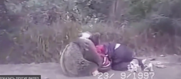 Оскал бурого медведя - Sputnik Узбекистан