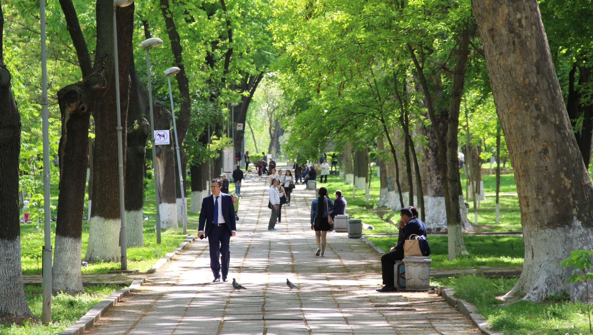 После в ташкенте. Ташкент сквер. Парк на сквере Ташкент. Ташкент сквер сейчас. Зелёный сквер Ташкент.