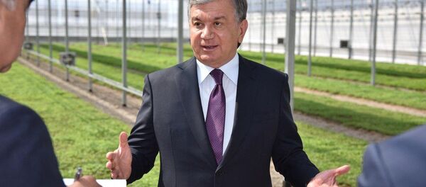 Шавкат Мирзиёев во время поездки в Сырдарьинскую область Шавкат Мирзиёев во время поездки в Сырдарьинскую область - Sputnik Ўзбекистон