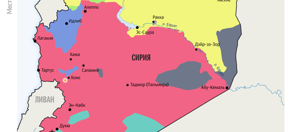 Ракетные удары по Сирии - Sputnik Узбекистан