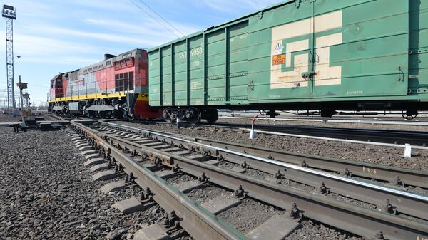 Тепловоз с грузовыми вагонами - Sputnik Узбекистан