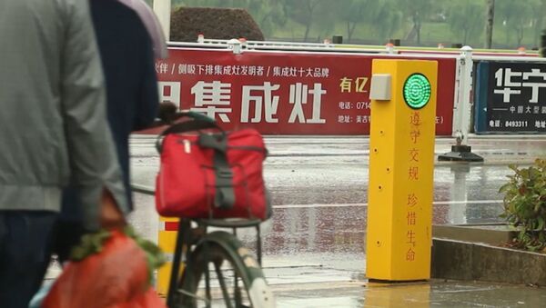 В Китае установили светофор, поливающий водой пешеходов-нарушителей - Sputnik Ўзбекистон