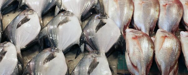 Прилавок с рыбой Прилавок с рыбой - Sputnik Узбекистан