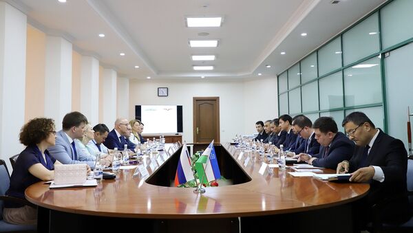 В Ташкенте обсудили вопросы совершенствования казначейских систем России и Узбекистана - Sputnik Ўзбекистон