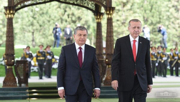 Prezidenti Uzbekistana i Tursii - Shavkat Mirziyoyev i Redjep Erdogan - Sputnik O‘zbekiston