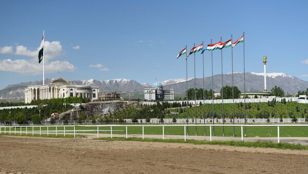 Панорама на город Душанбе, архивное фото - Sputnik Ўзбекистон