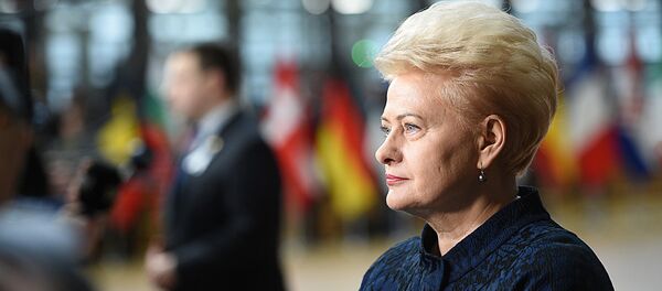 Президент Литвы даля Грибаускайте принимает участие в работе Европейского совета в Брюсселе Президент Литвы даля Грибаускайте принимает участие в работе Европейского совета в Брюсселе - Sputnik Ўзбекистон